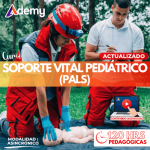 SOPORTE VITAL AVANZADO PEDIÁTRICO - PALS