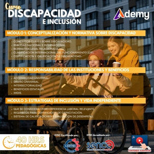 curso discapacidad e inclusión